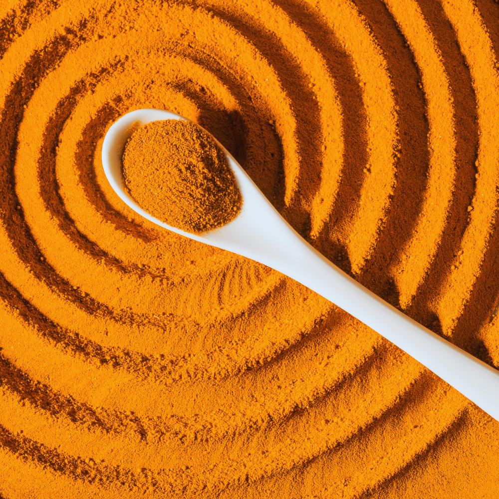 Kurkuma (Curcuma Longa)