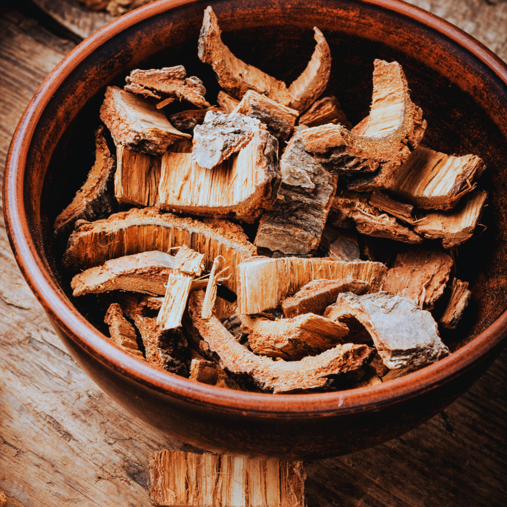 Wilgenbast (Salix Alba)